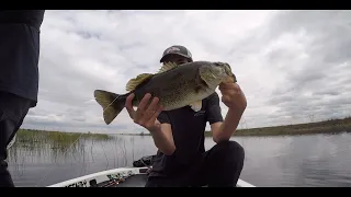 Early Spring Bass Fishing (CA, Delta)