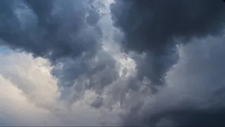 LIVE RADAR | Thunderstorms rumble through Tampa Bay area