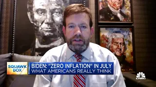 President Biden claiming 0% inflation is 'simply wrong,' says pollster Frank Luntz