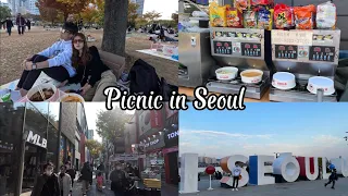 Picnic at Yeouido Hangang Park, Myeongdong for Lunch