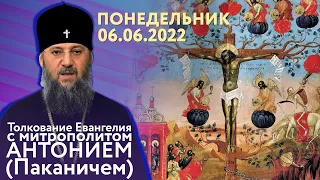 Толкование Евангелия с митрополитом Антонием (Паканичем). Понедельник, 6 июня 2022 года