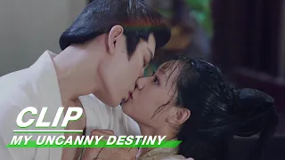 Xuanming Kisses Zhaonan Upon Hearing Her Confession | My Uncanny Destiny EP06 | 保护我方城主大人 | iQIYI