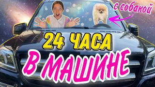 НОЧЬ В МАШИНЕ С СОБАКОЙ🚗🐶 24 Часа ЧЕЛЛЕНДЖ!