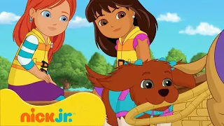 Dora i przyjaciele | Najlepsze przygody Dory i przyjaciół ze szczeniaczkami! | Nick Jr. Polska