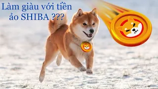 (1) Tiền điện tử bạn nên đầu tư (SHIBA INU) may mắn bạn có thể thành triệu phú năm 2025