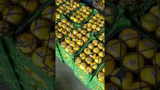 Мандарины 🍊 из ирана