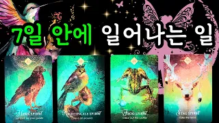 ☆*｡타로･ﾟ✧🌟7일안에 일어나는 일 (5월27일~6월2일) 주간타로!