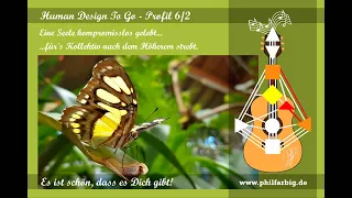 Das Human Design Profil 6/2 - Lied "Der Schmetterling"