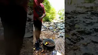 Fake vs Real - #goldprospecting #goldpanning #goldnuggets #goldrush #viral #treasure #treasurehunt