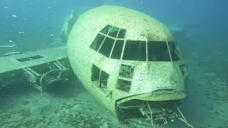 Airplane Wreck Diving - Aqaba Jordan #gopro