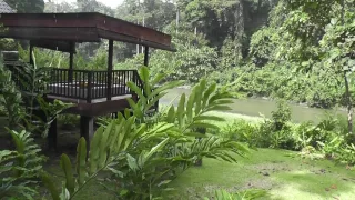 Borneo   Danum Valley Borneo Rainforest Lodge #1 Resort Room   13 May 2017