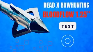 BLOODFLOW 1.25" by Dead X Bowhunting: BEST FIXED BLADE SCORE SO FAR!