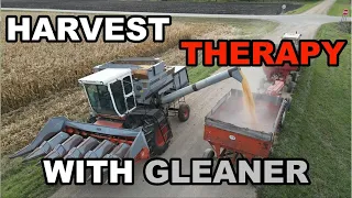 Harvest Therapy:  25 Minutes Of Relaxing Allis Chalmers Gleaner Combine Action