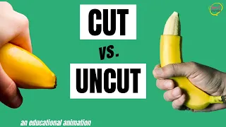 Circumcised vs Uncircumcised Animation Video 🍌Puberty for Boys Stages