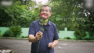 ONE LITTLE ROSE with Fr. Jerry Orbos, SVD