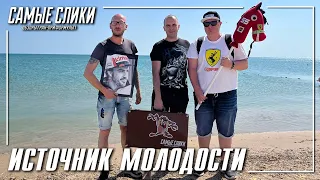 В поисках источника молодости Фернандо Алонсо