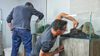 4 NEW Aquascapes in a BRAND NEW Aquascaping Store