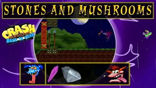 Crash Bandicoot Back In Time | #35 | Stones And Mushrooms |