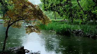 The beautiful little river is raining(199) , sleep, relax, meditate, study, work, ASMR