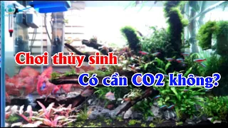 Chơi thủy sinh có cần CO2 không? Nên chọn sủi CO2 hay trộn CO2 - Thủy Sinh 4U