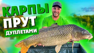 Ловля КАРПА и САЗАНА 15+ кг! ТРОФЕЙНЫЕ КАРПЫ прут ДУПЛЕТАМИ целые СУТКИ! КАРПФИШИНГ! РЫБАЛКА 2021