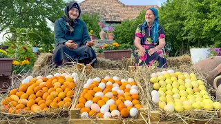 YUMMY EGGBURGER RECIPE With Buckwheat: Cooking Burger With Eggs In Village