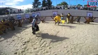 Battle of the Nations 2015 GoPro edit - se 06 Sharukhan clan vs Austria 1