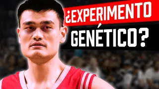 El OSCURO PLAN de China para CREAR a YAO MING🐉