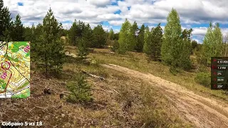 Российский Азимут ( Нижний Новгород, п. Дубравный ) | Кросс - Выбор | М18 | Headcam orienteering