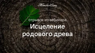 Влияние рода на судьбу и жизнь человека. Зачем нужна работа с родом — Женская Санга