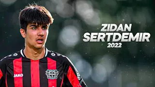 Zidan Sertdemir - Every Big Club Should Want This Talent