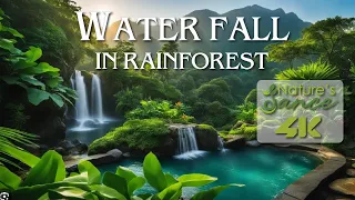 WATER FALL IN RAINFOREST • Nature's Dance • Healing Music • Nature 4k Video UltraHD