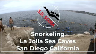 Snorkeling  The La Jolla Sea Caves | San Diego | California