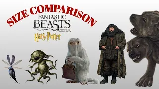 Size Comparison Fantastic Beasts and Harry Potter | Biggest Magic Animals | Satisfying Video