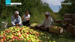 «АУЫЛДАСТАР». Түркістан облысы, Тұрар Рысқұлов ауылы