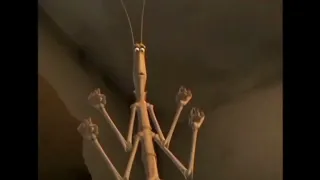 Bug's Life Voice Over