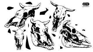 У Полтаві знайшли купу коров'ячих черепів