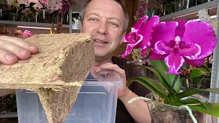 we clean the orchid from moss for transplantation and WHICH POT for orchids to choose