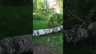 Последствия урагана на Пролетарской 🌪