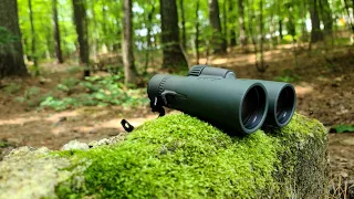 Vortex Razor HD 10x42 Review