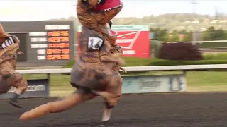 *EPIC* Dinosaurs take the track in viral TRex races