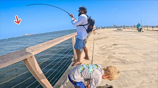 EVERYONE Comes To This NEW Fishing Pier To Catch THIS!