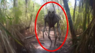 Disturbing Trail Cam Footage That Went Viral Overnight