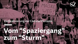 Corona-Proteste - Vom "Spaziergang" zum "Sturm"