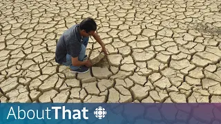 How global climate change affects Canadians | About That