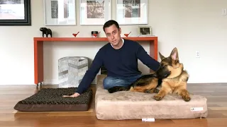 Eric Demonstrates a Big Barker vs Normal Dog Beds
