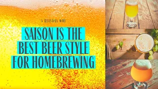 5 Reasons Why Saison Is the Best Beer Style for Homebrewing