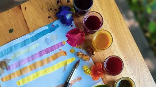 Colors of Nature: Extracting Natural pigments from plants