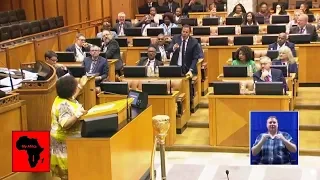 Fight In Parliament - John Steenhuisen vs Mapisa-Nqakula