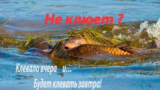 У тебя не клюет  на РЫБАЛКЕ ? Вот Пять основных причин !